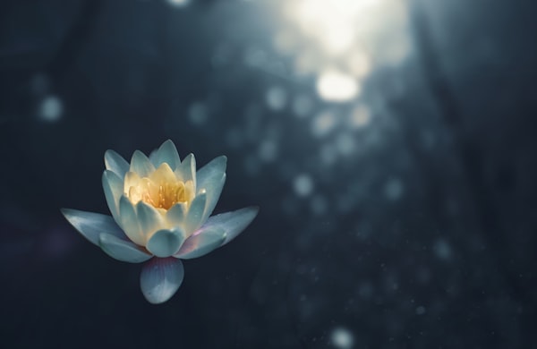 香道